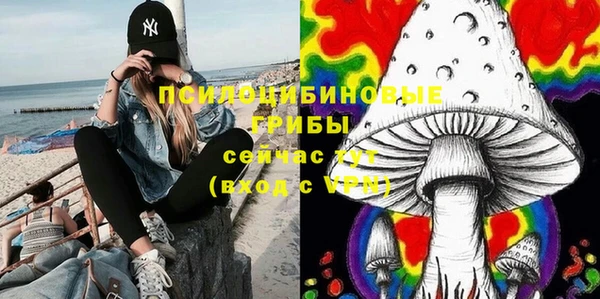 синтетический гашиш Елизово