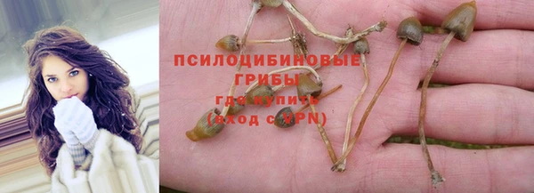 первитин Ельня