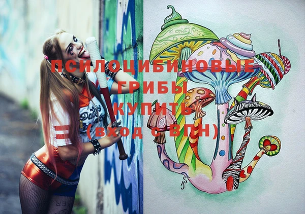 синтетический гашиш Елизово