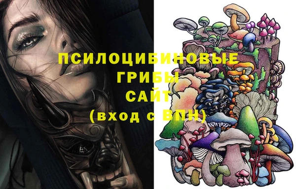 первитин Ельня
