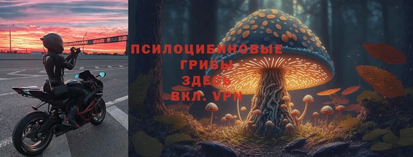 синтетический гашиш Елизово