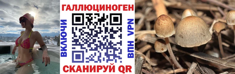 Галлюциногенные грибы мухоморы Ревда