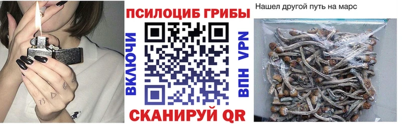 Купить где  Ревда  Псилоцибиновые грибы ЛСД 